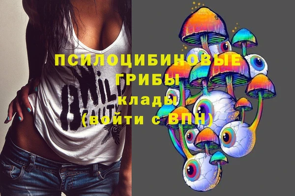 mdpv Вязьма