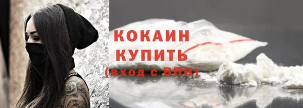 прущая мука Вяземский